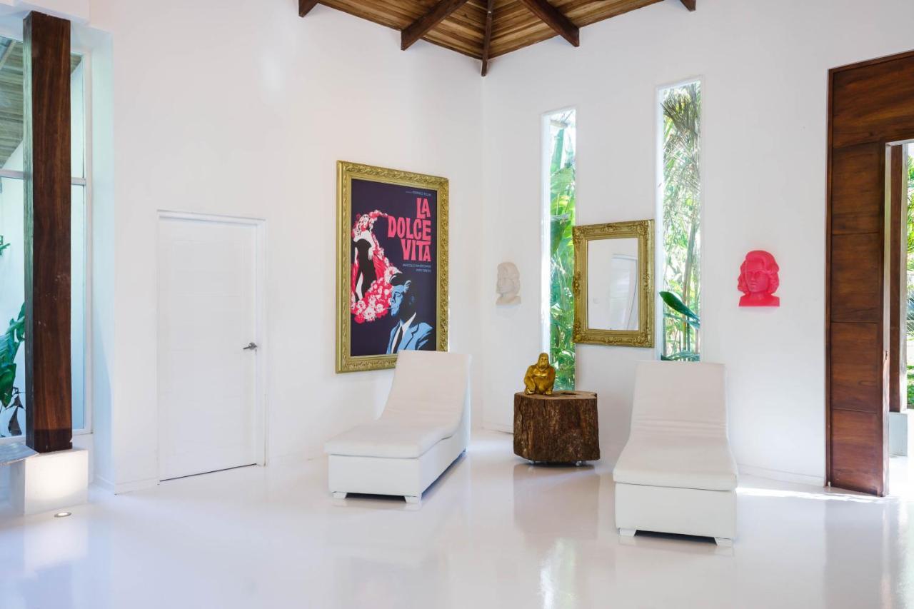 Gigi Brown Villa Paparazzi Beachfront Puerto Viejo de Talamanca Екстериор снимка