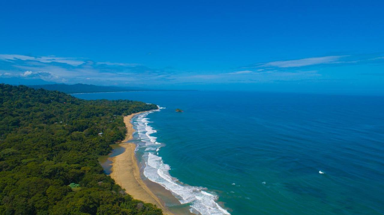 Gigi Brown Villa Paparazzi Beachfront Puerto Viejo de Talamanca Екстериор снимка