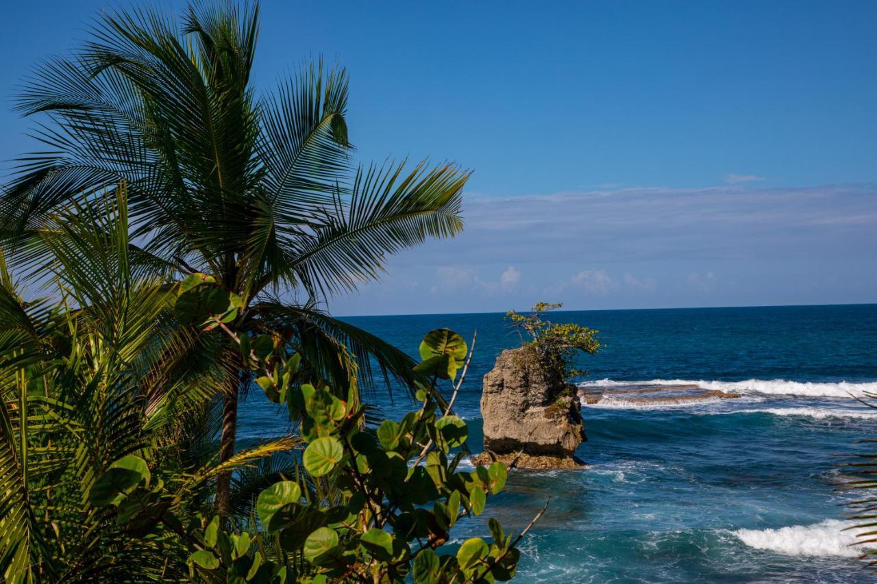 Gigi Brown Villa Paparazzi Beachfront Puerto Viejo de Talamanca Екстериор снимка